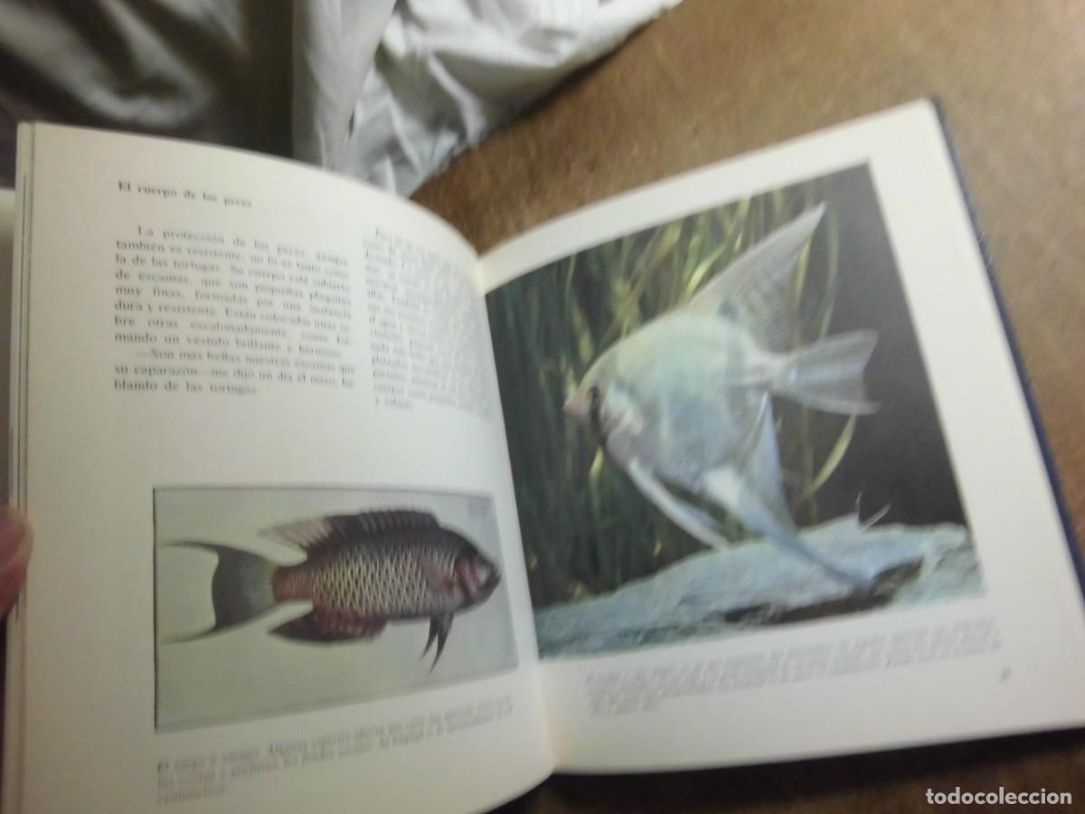 Libros de segunda mano: EL MISTERIOSO MUNDO DE LOS PECES EVEREST 1981 - Foto 7