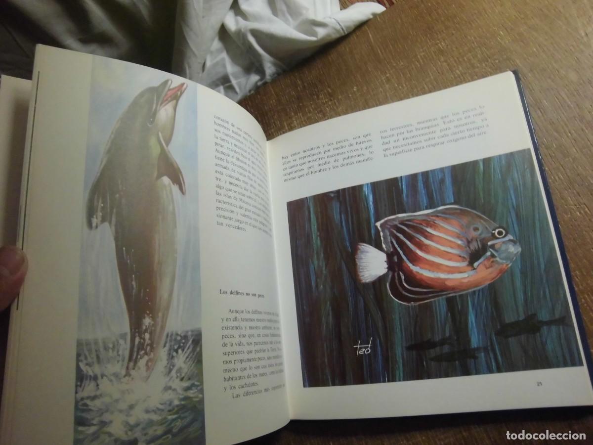 Libros de segunda mano: EL MISTERIOSO MUNDO DE LOS PECES EVEREST 1981 - Foto 8