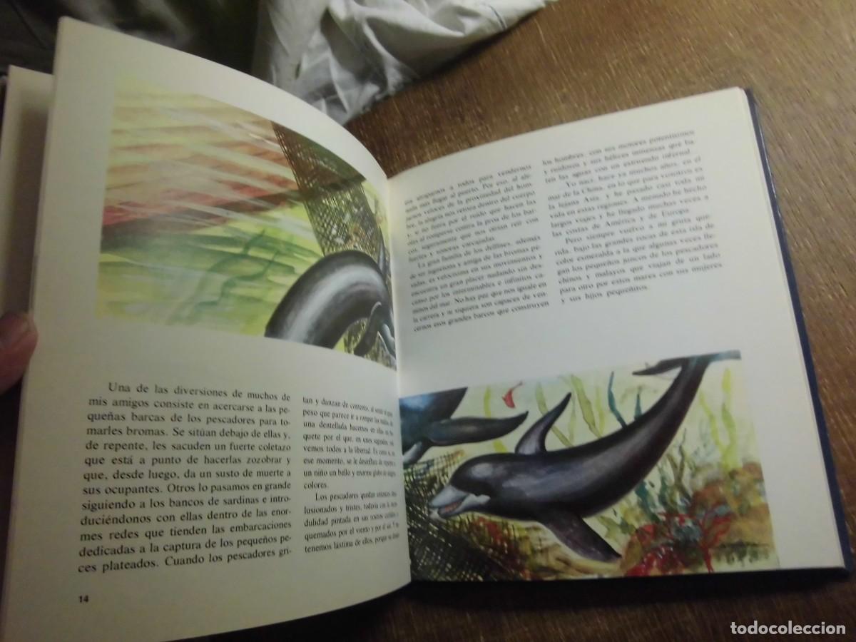 Libros de segunda mano: EL MISTERIOSO MUNDO DE LOS PECES EVEREST 1981 - Foto 9