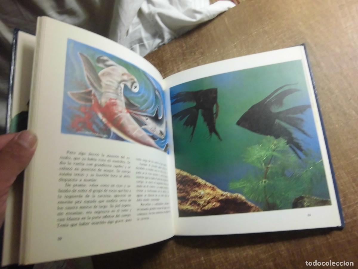 Libros de segunda mano: EL MISTERIOSO MUNDO DE LOS PECES EVEREST 1981 - Foto 12