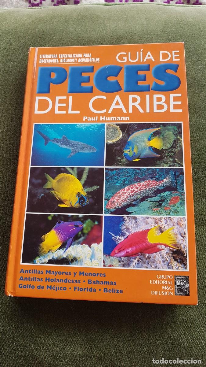Libros de segunda mano: GUIA DE PECES DEL CARIBE-PAUL HUMANN - Foto 1
