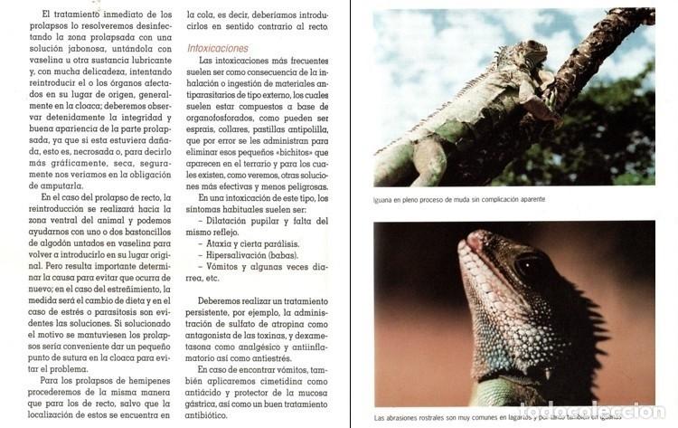 Libros de segunda mano: EL NUEVO LIBRO DE LAS IGUANAS. REPTILES. - Foto 5