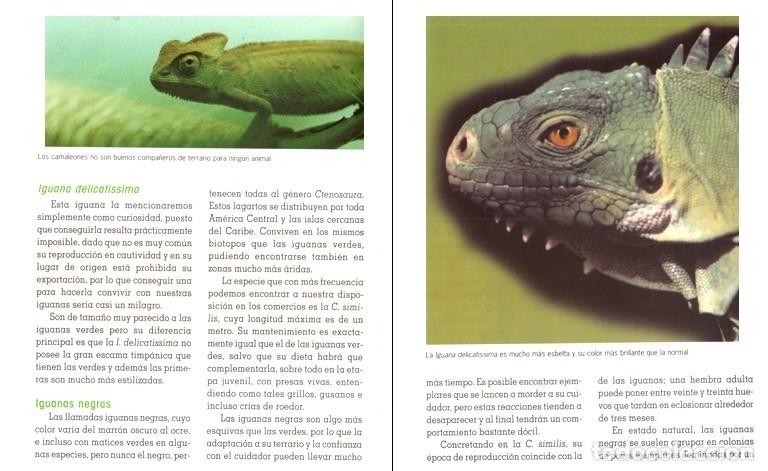 Libros de segunda mano: EL NUEVO LIBRO DE LAS IGUANAS. REPTILES. - Foto 6