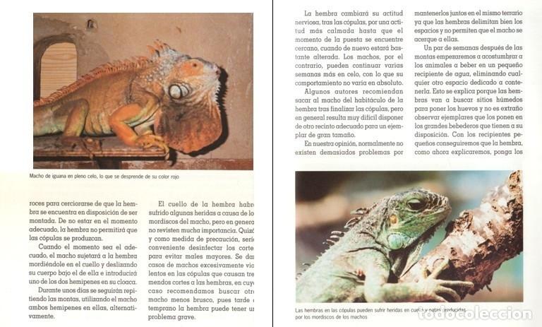 Libros de segunda mano: EL NUEVO LIBRO DE LAS IGUANAS. REPTILES. - Foto 3