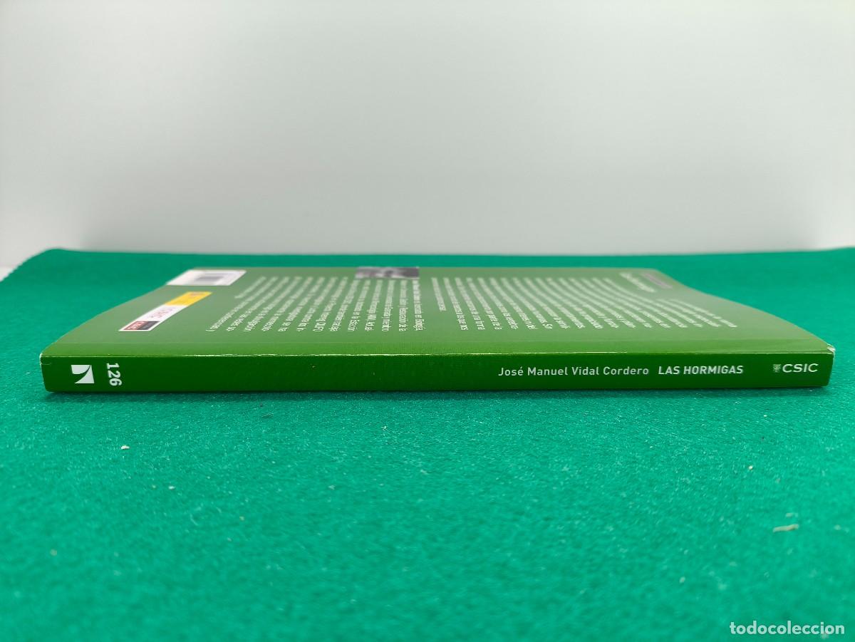 Libros de segunda mano: &iquest;QUE SABEMOS DE? LAS HORMIGAS / JOS&Eacute; MANUEL VIDAL CORDERO / 2021. CSIC - Foto 7