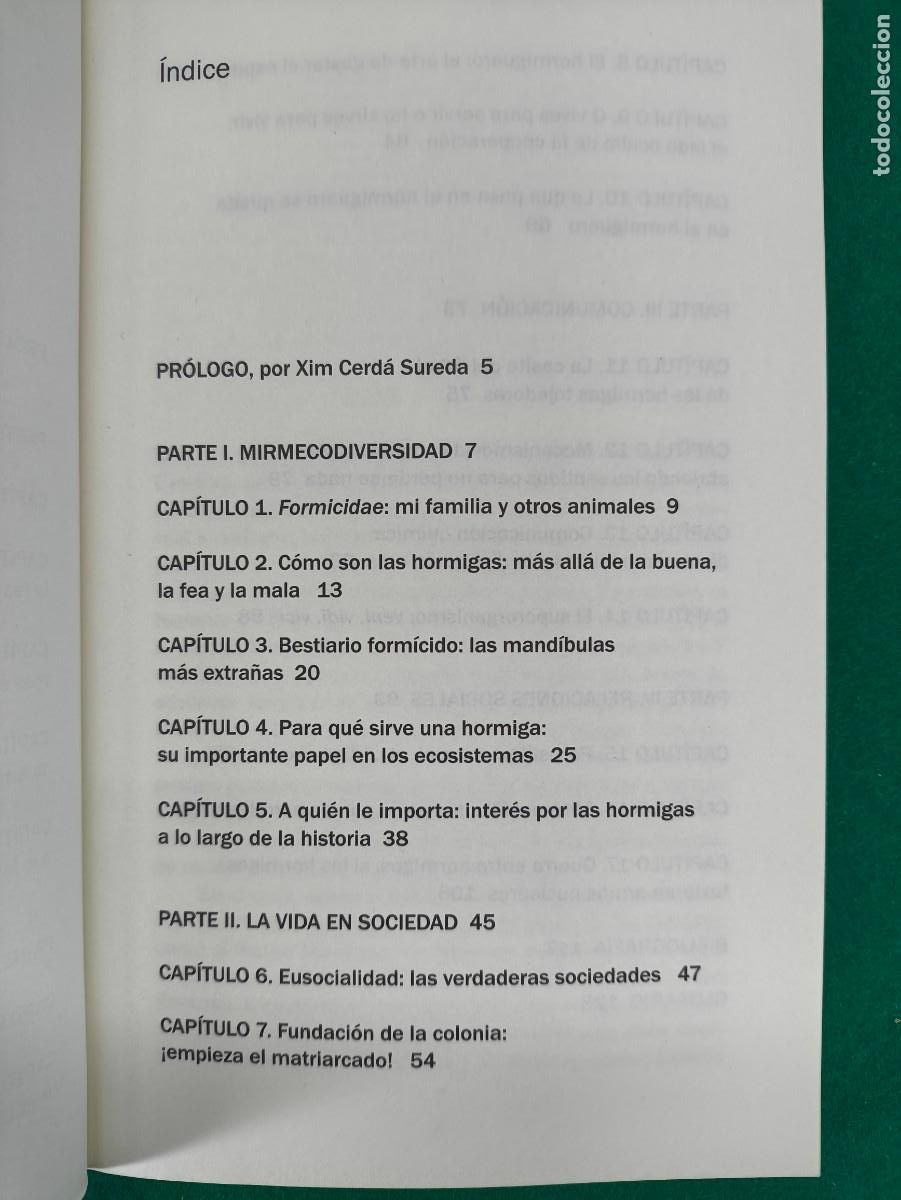 Libros de segunda mano: &iquest;QUE SABEMOS DE? LAS HORMIGAS / JOS&Eacute; MANUEL VIDAL CORDERO / 2021. CSIC - Foto 3