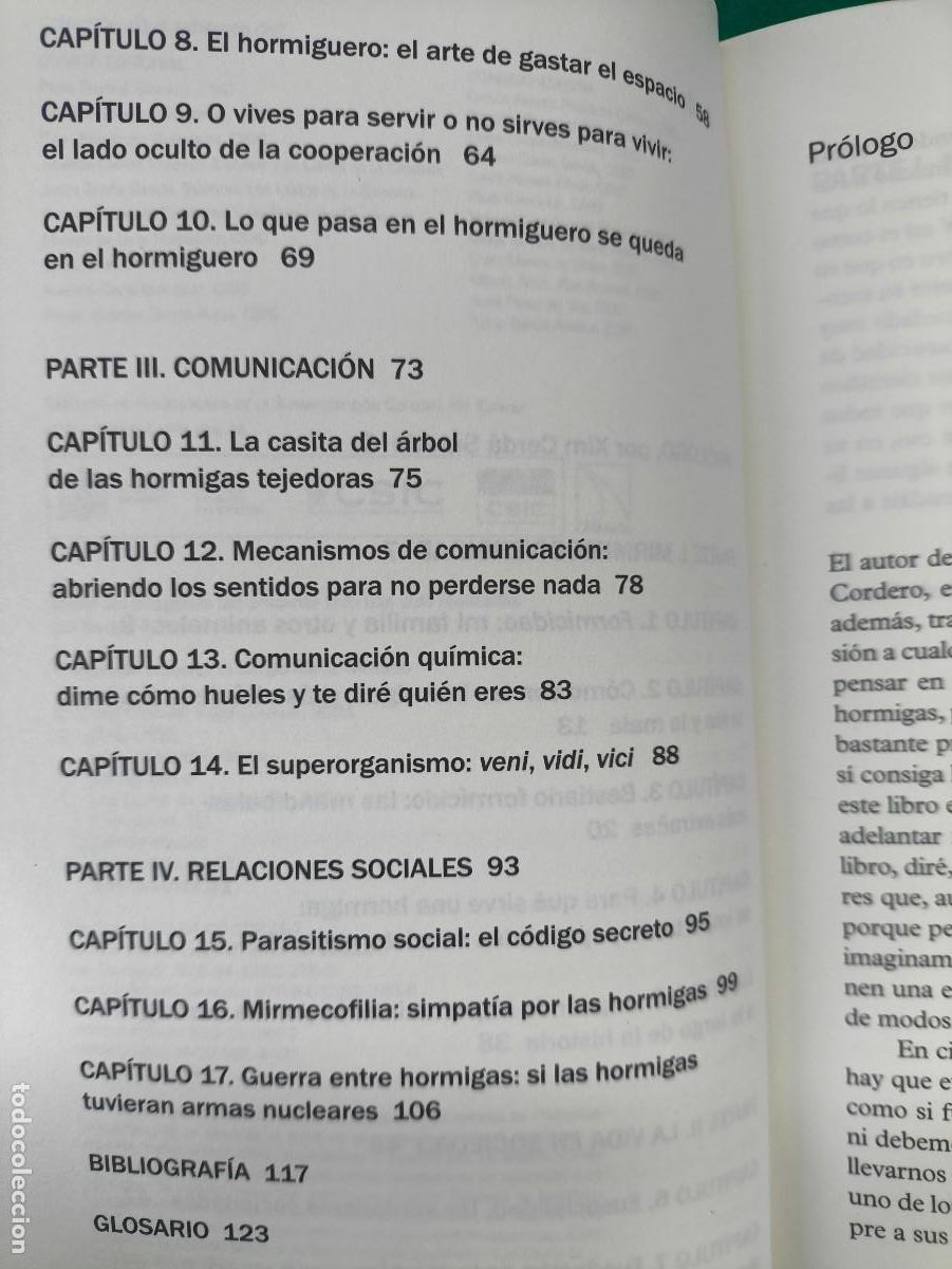 Libros de segunda mano: &iquest;QUE SABEMOS DE? LAS HORMIGAS / JOS&Eacute; MANUEL VIDAL CORDERO / 2021. CSIC - Foto 4