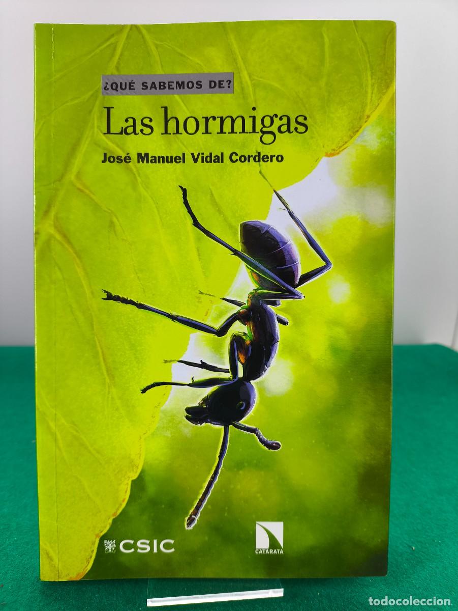 Libros de segunda mano: &iquest;QUE SABEMOS DE? LAS HORMIGAS / JOS&Eacute; MANUEL VIDAL CORDERO / 2021. CSIC - Foto 1