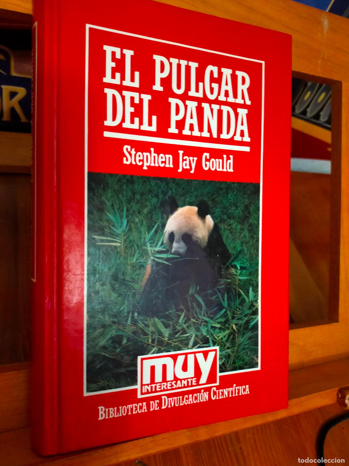 Libros de segunda mano: EL PULGAR DEL PANDA. STEPHEN JAY GOULD. EDITORIAL ORBIS - Foto 1