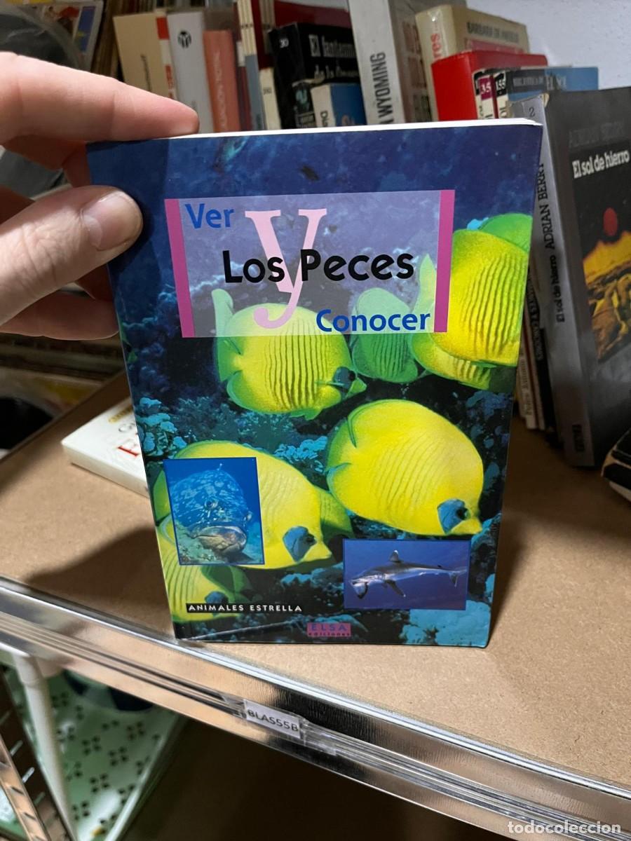 Libros de segunda mano: BLAS55B EL LIBRO DE LOS PECES, VER Y CONOCER - Foto 1