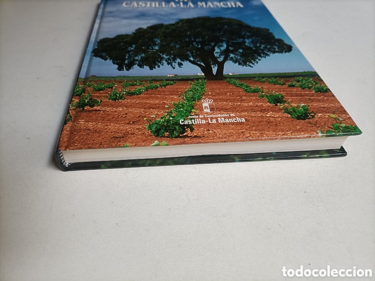 Libros de segunda mano: &Aacute;rboles de Castilla La Mancha Manuel Juan Mac&iacute;as barco - Foto 3
