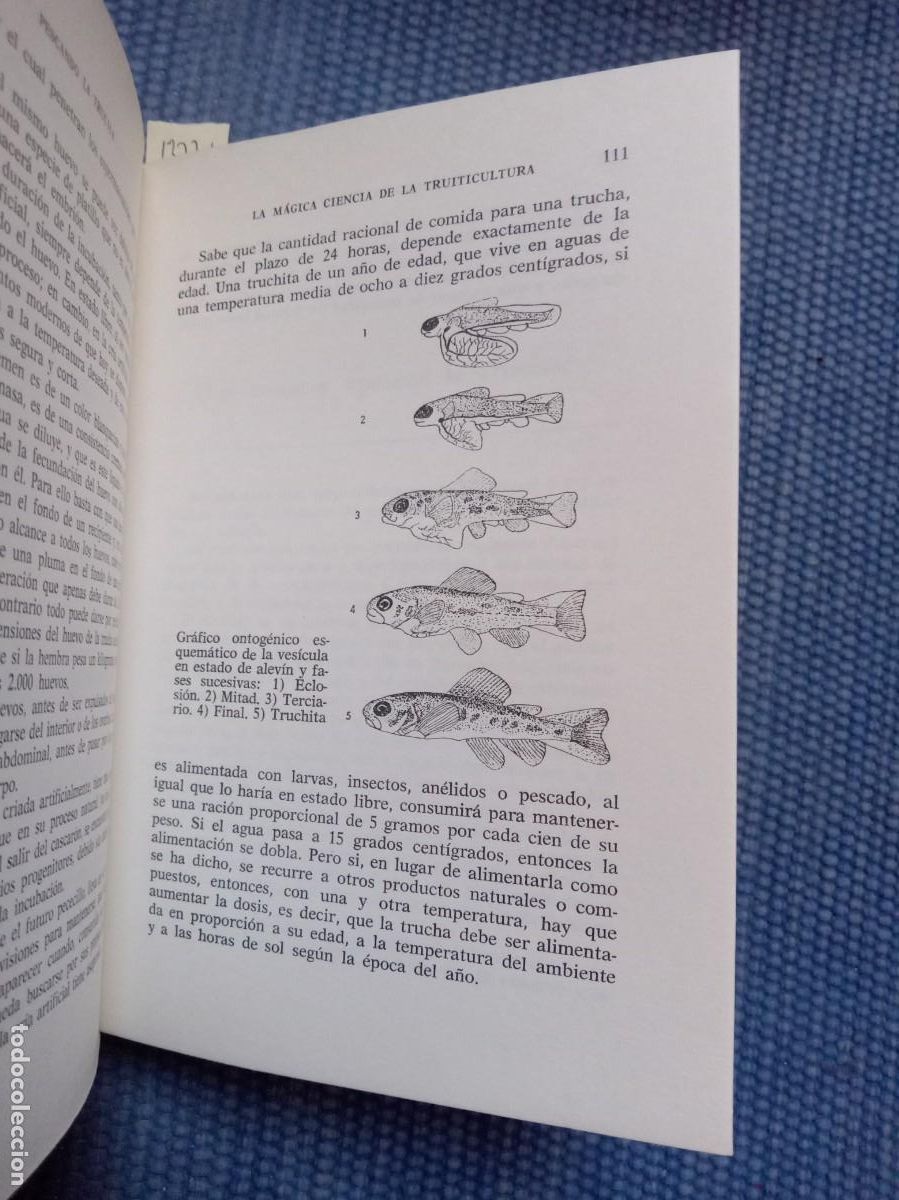 Libros de segunda mano: Pescando la trucha -Suay - - Foto 2