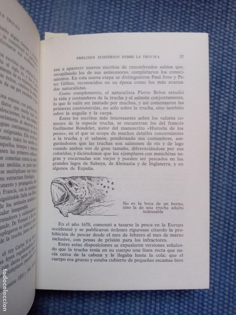 Libros de segunda mano: Pescando la trucha -Suay - - Foto 3