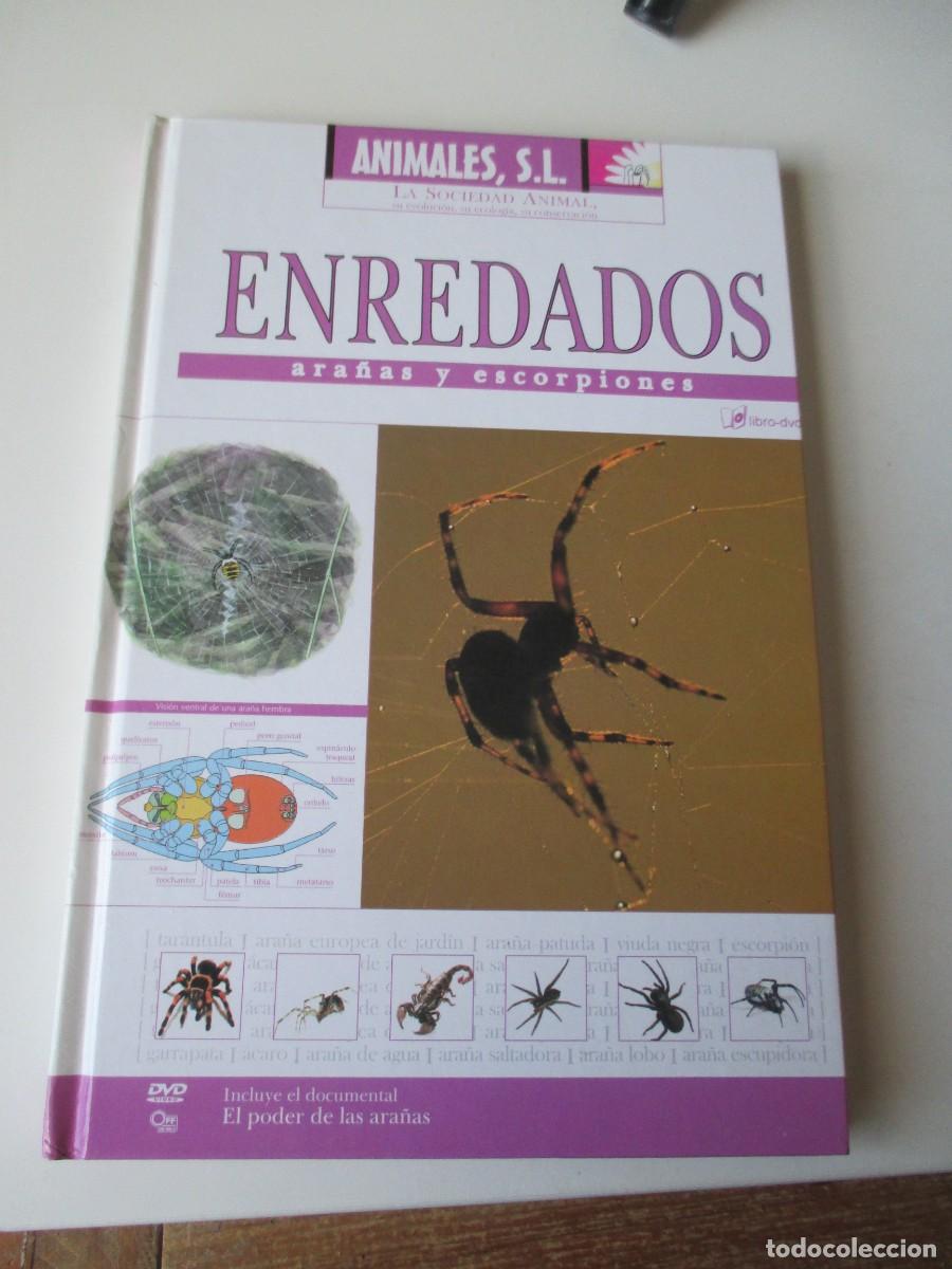 Libros de segunda mano: Enredados. Ara&ntilde;as y escorpiones W36693 - Foto 1
