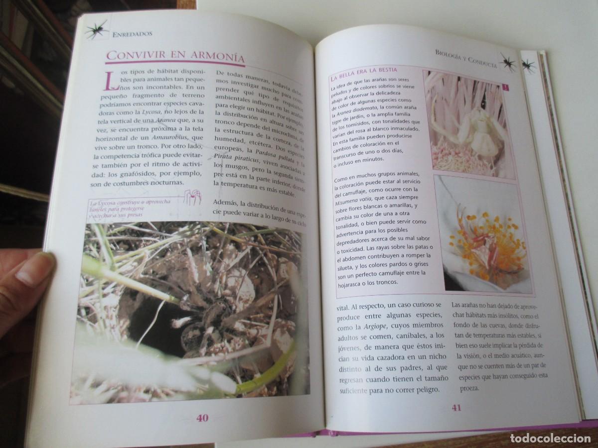 Libros de segunda mano: Enredados. Ara&ntilde;as y escorpiones W36693 - Foto 4