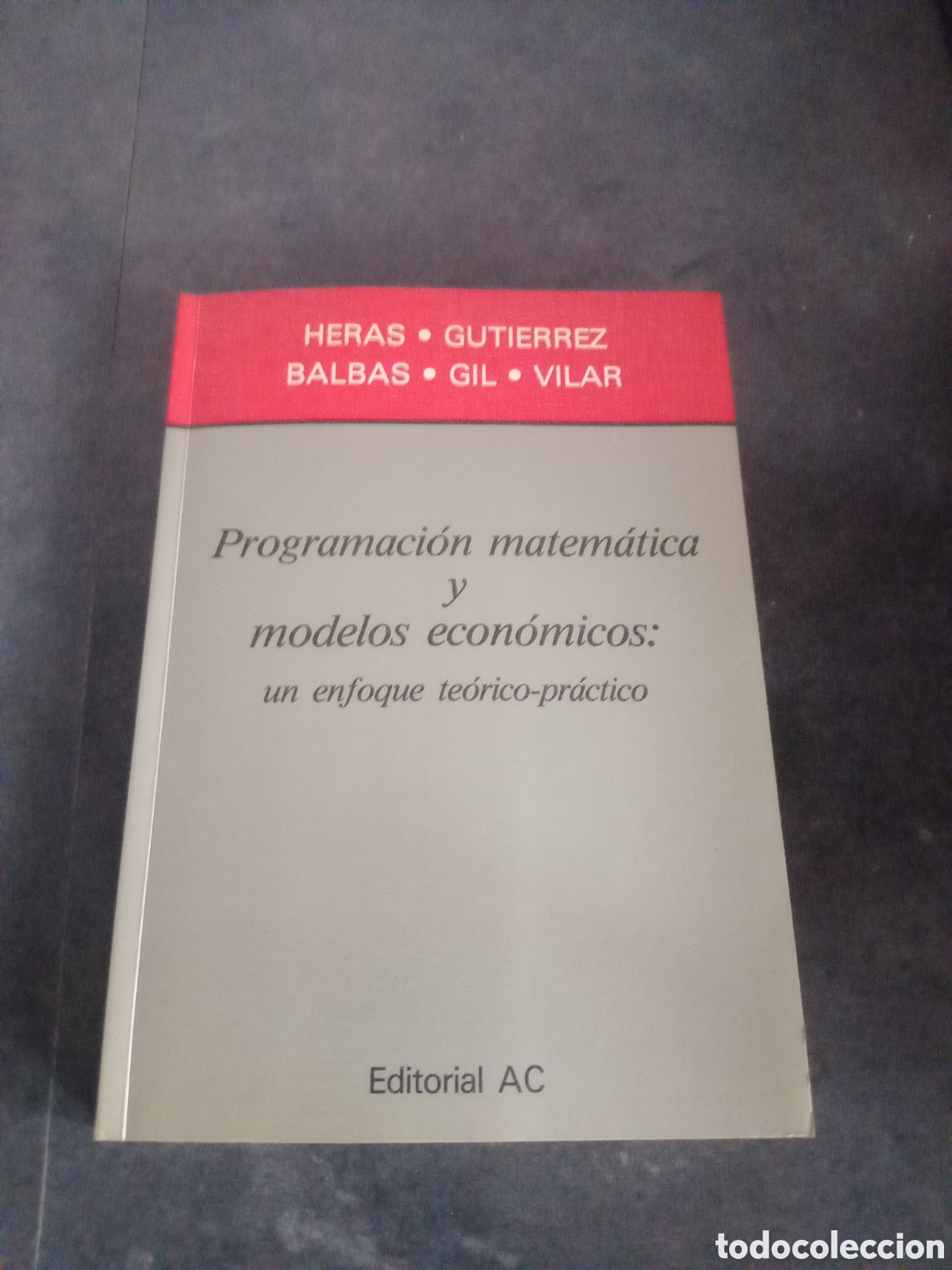 Libros de segunda mano de ciencias: Toreteblanco programaci&oacute;n matem&aacute;tica y modelos econ&oacute;micos un enfoque te&oacute;rico pr&aacute;ctico - Foto 1
