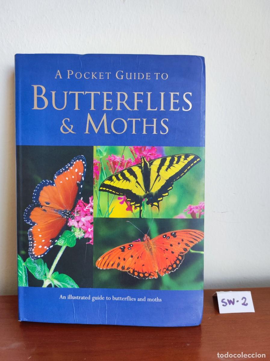 Libros de segunda mano: A Pocket Guide to Butterflies & Moths - Foto 1