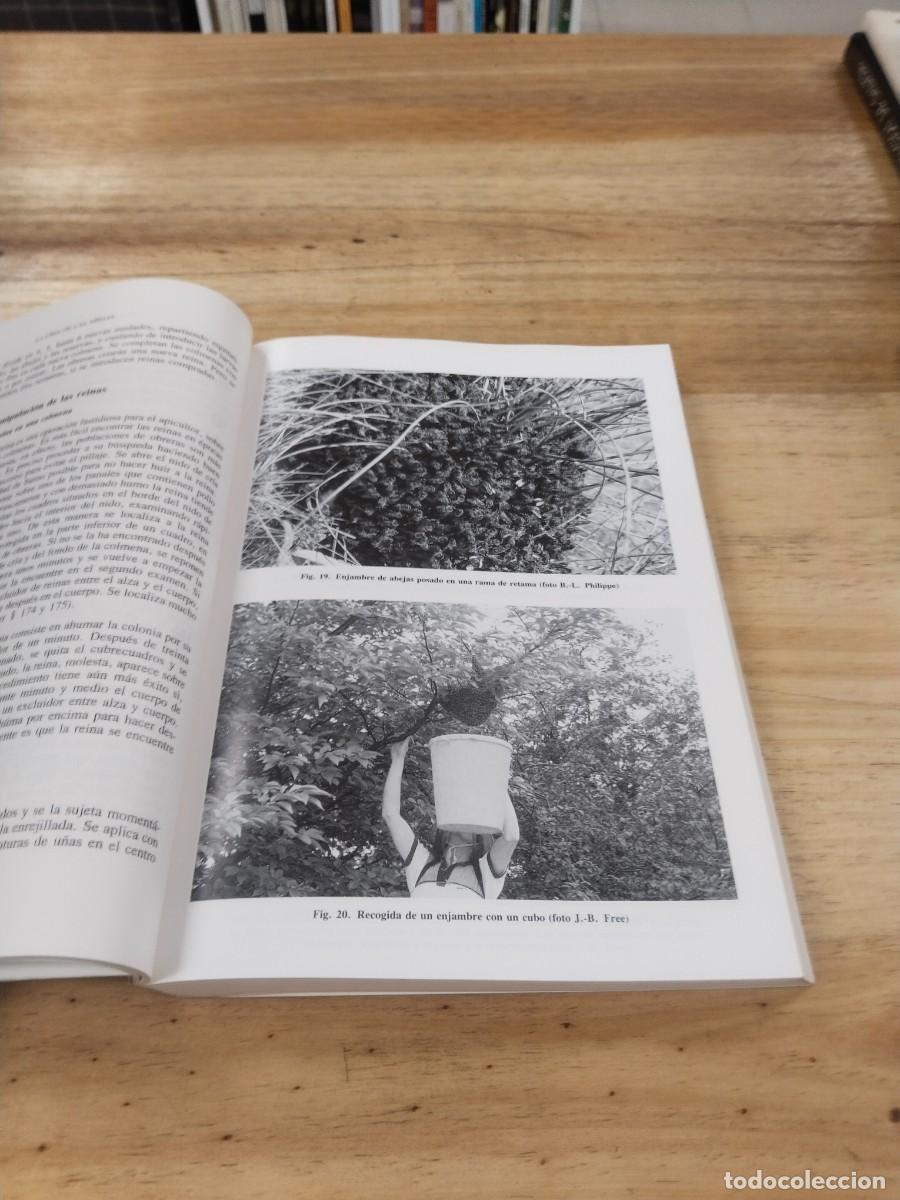 Libros de segunda mano: Gu&iacute;a del Apicultor - Jean-Marie Philippe - Foto 6