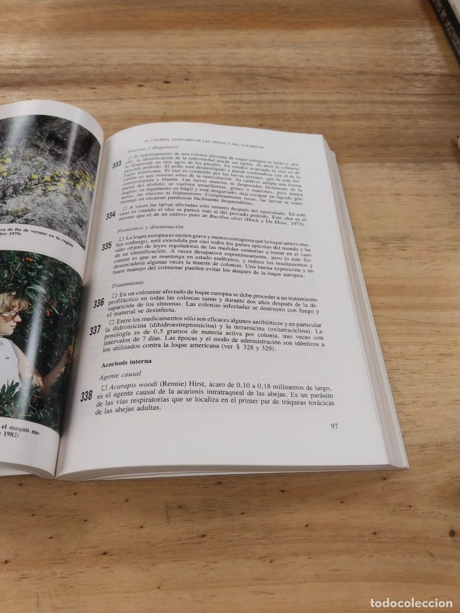 Libros de segunda mano: Gu&iacute;a del Apicultor - Jean-Marie Philippe - Foto 8