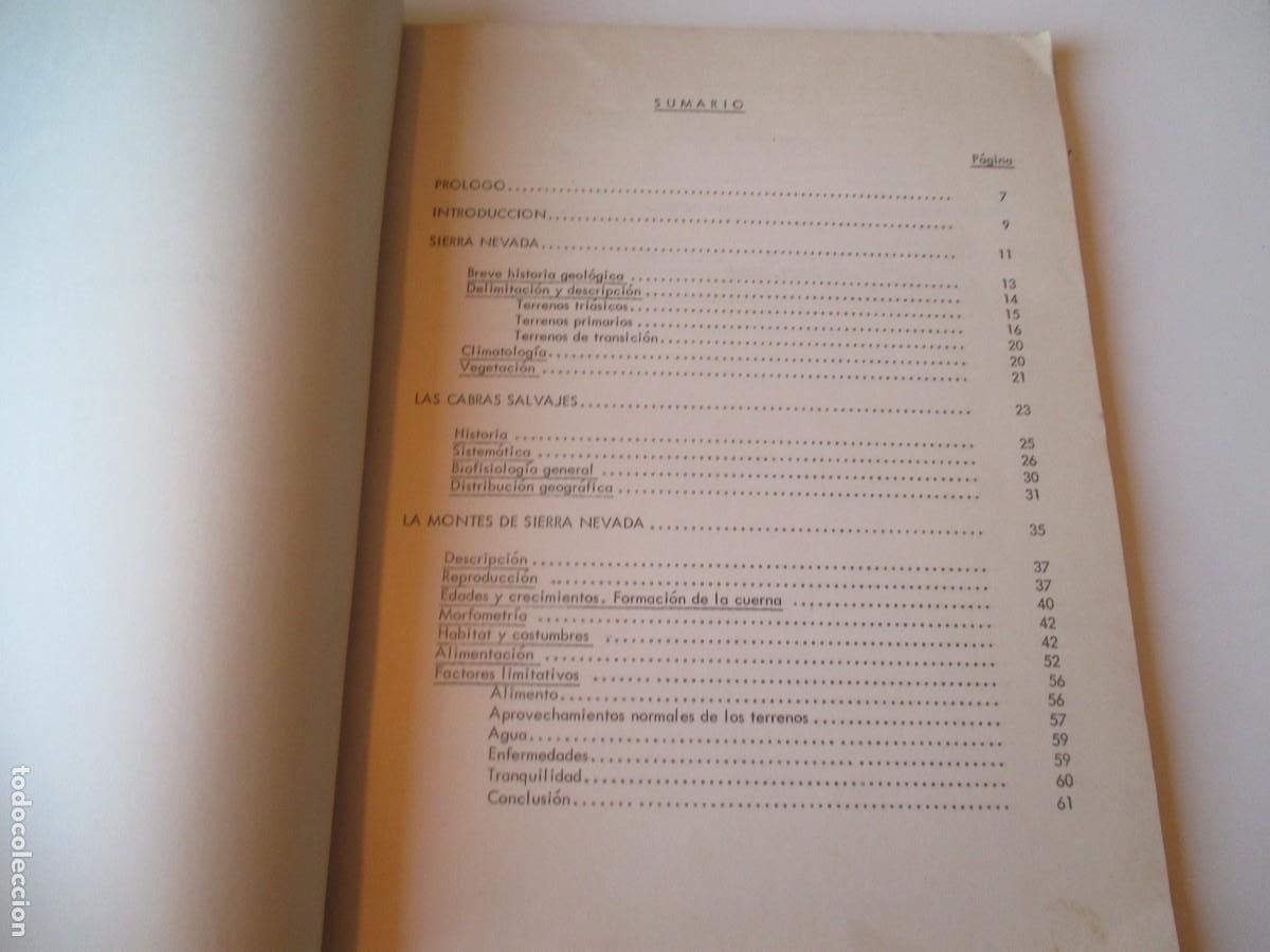 Libros de segunda mano: La cabra montes en Sierra Nevada . Documentos t&eacute;cnicos W36740 - Foto 2