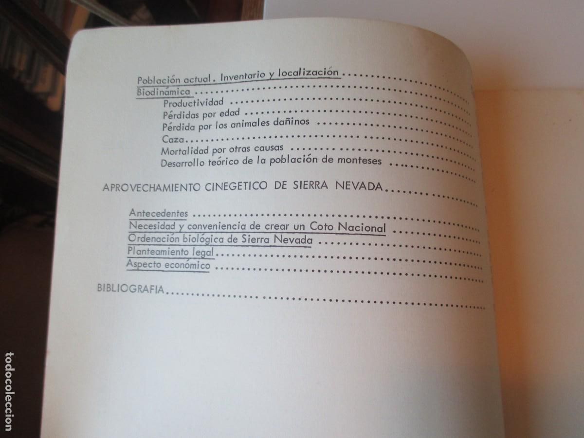 Libros de segunda mano: La cabra montes en Sierra Nevada . Documentos t&eacute;cnicos W36740 - Foto 3