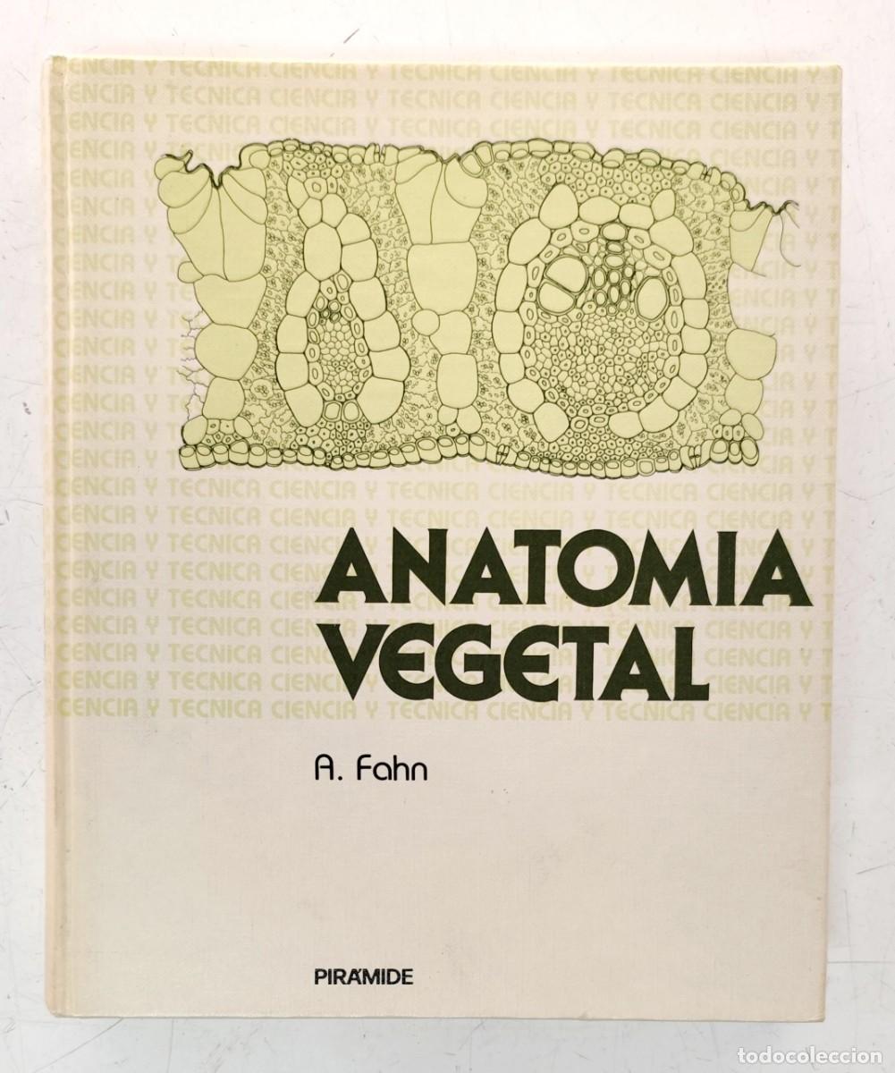 Libros de segunda mano: Anatom&iacute;a vegetal. A. Fahn. Ediciones Pir&aacute;mide. Bot&aacute;nica. - Foto 1