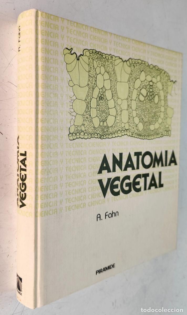 Libros de segunda mano: Anatom&iacute;a vegetal. A. Fahn. Ediciones Pir&aacute;mide. Bot&aacute;nica. - Foto 2