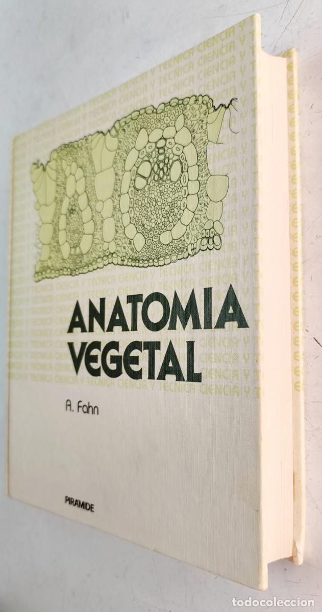 Libros de segunda mano: Anatom&iacute;a vegetal. A. Fahn. Ediciones Pir&aacute;mide. Bot&aacute;nica. - Foto 3