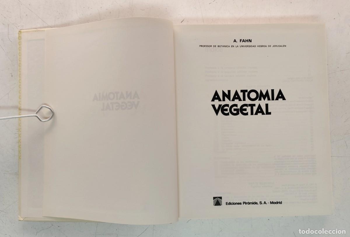 Libros de segunda mano: Anatom&iacute;a vegetal. A. Fahn. Ediciones Pir&aacute;mide. Bot&aacute;nica. - Foto 4
