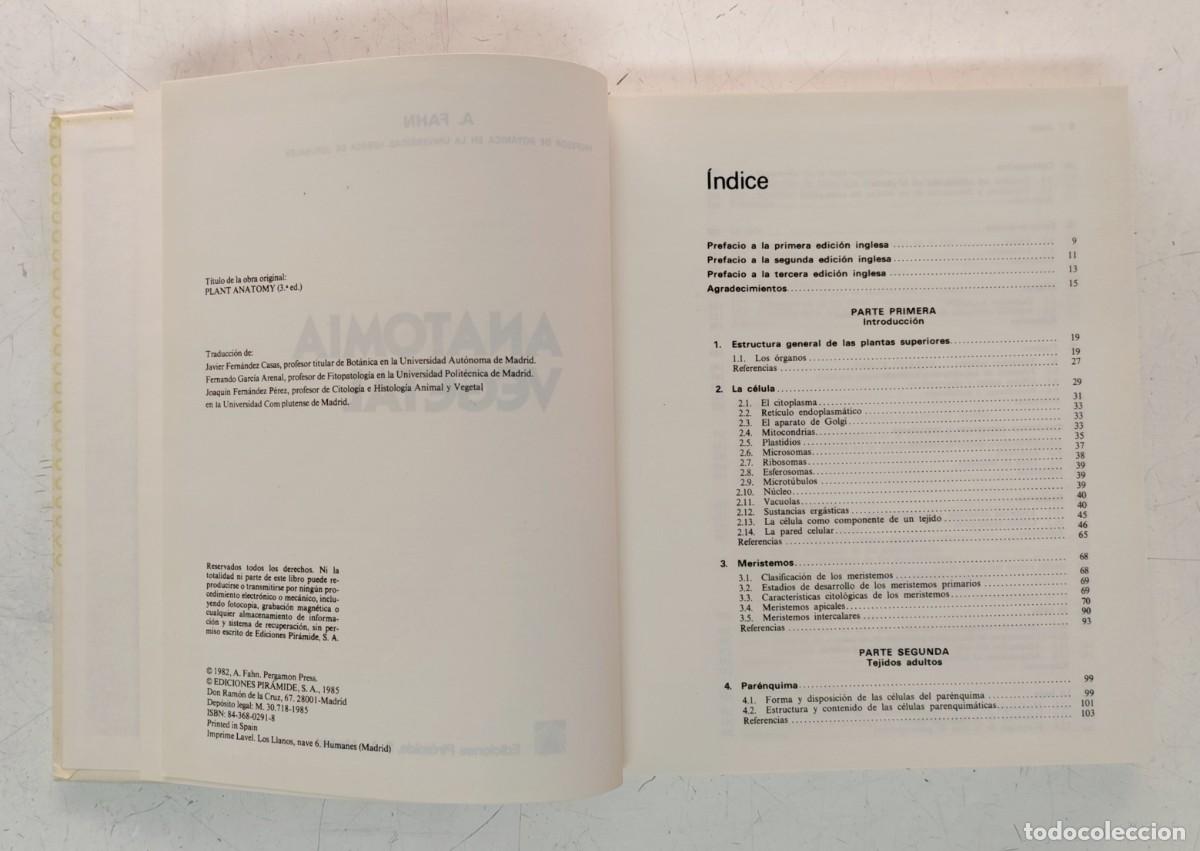 Libros de segunda mano: Anatom&iacute;a vegetal. A. Fahn. Ediciones Pir&aacute;mide. Bot&aacute;nica. - Foto 5
