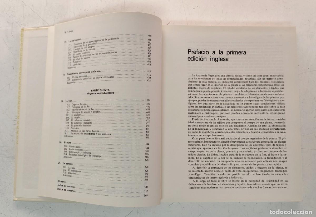 Libros de segunda mano: Anatom&iacute;a vegetal. A. Fahn. Ediciones Pir&aacute;mide. Bot&aacute;nica. - Foto 7