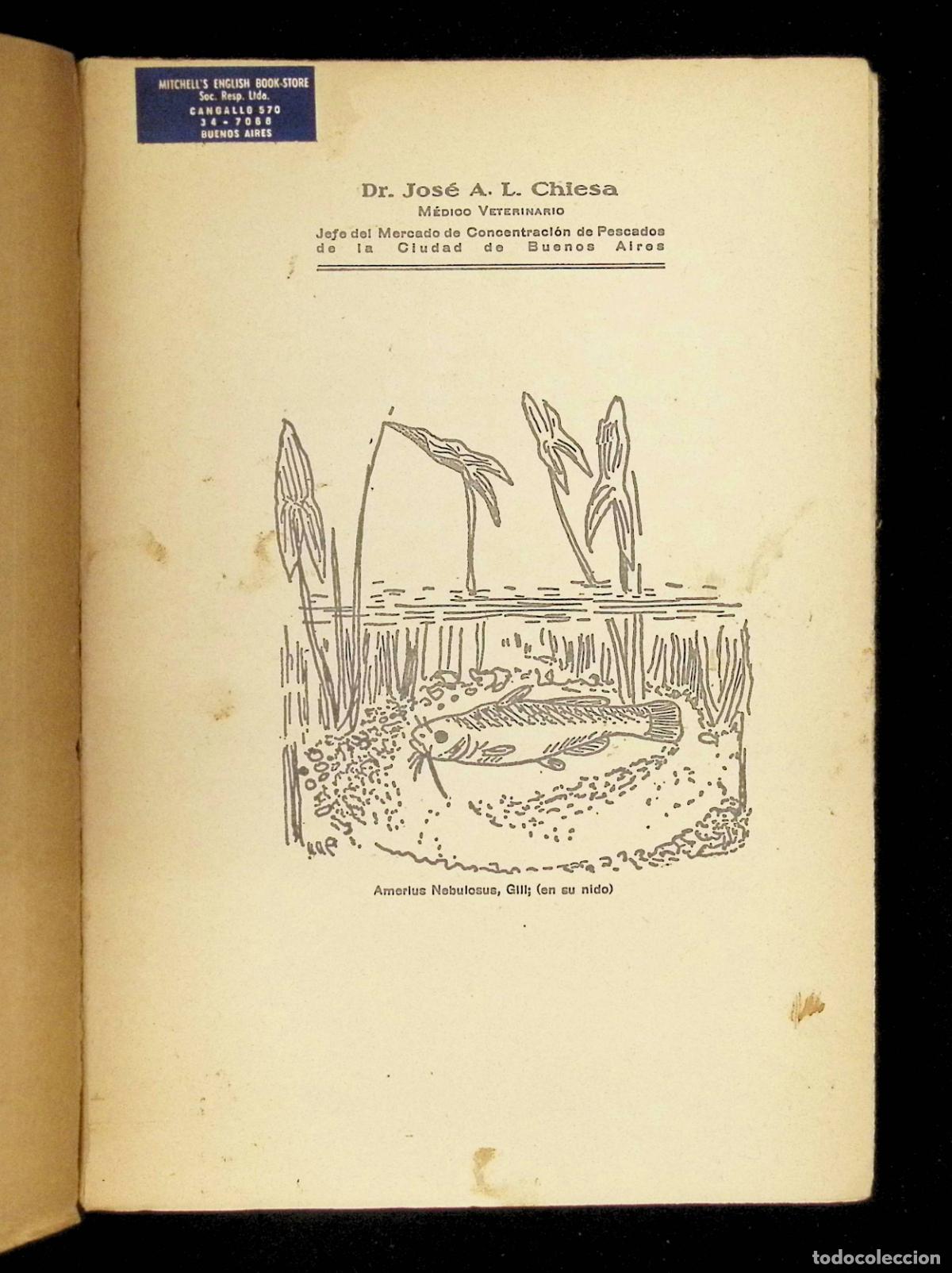 Libros de segunda mano: PECES. - CHIESA, Dr. Jos&eacute; A. L. - Foto 2