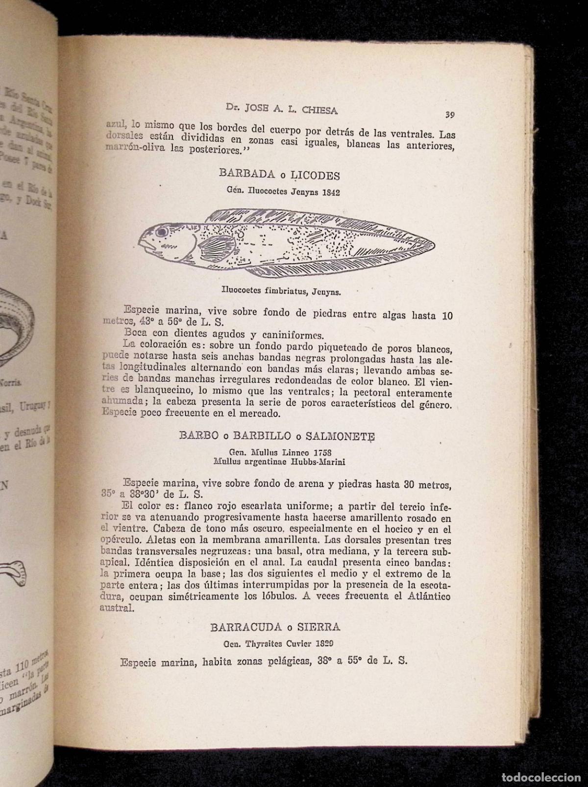 Libros de segunda mano: PECES. - CHIESA, Dr. Jos&eacute; A. L. - Foto 3