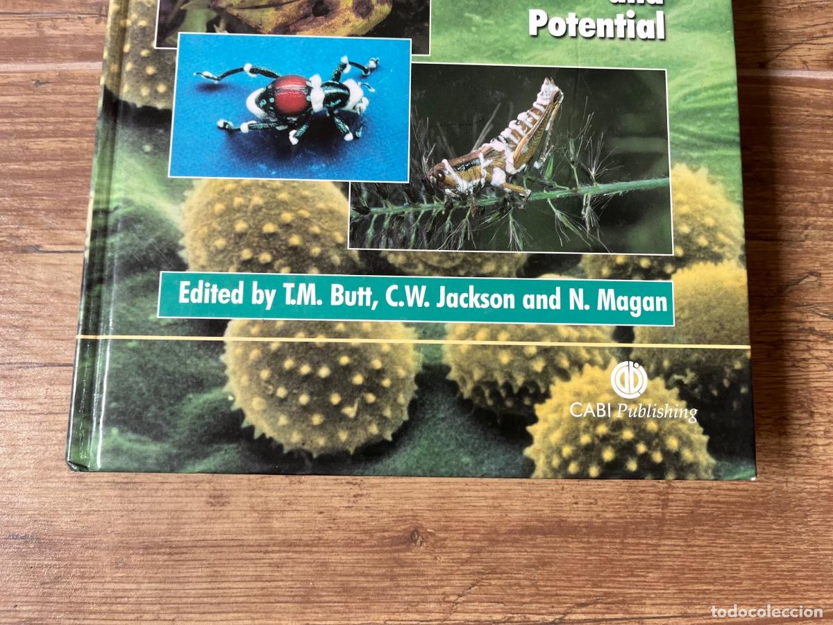 Libros de segunda mano: Fungi as Biocontrol Agents: Progress, Problems and Potential (Cabi) Edici&oacute;n en Ingl&eacute;s - Foto 3