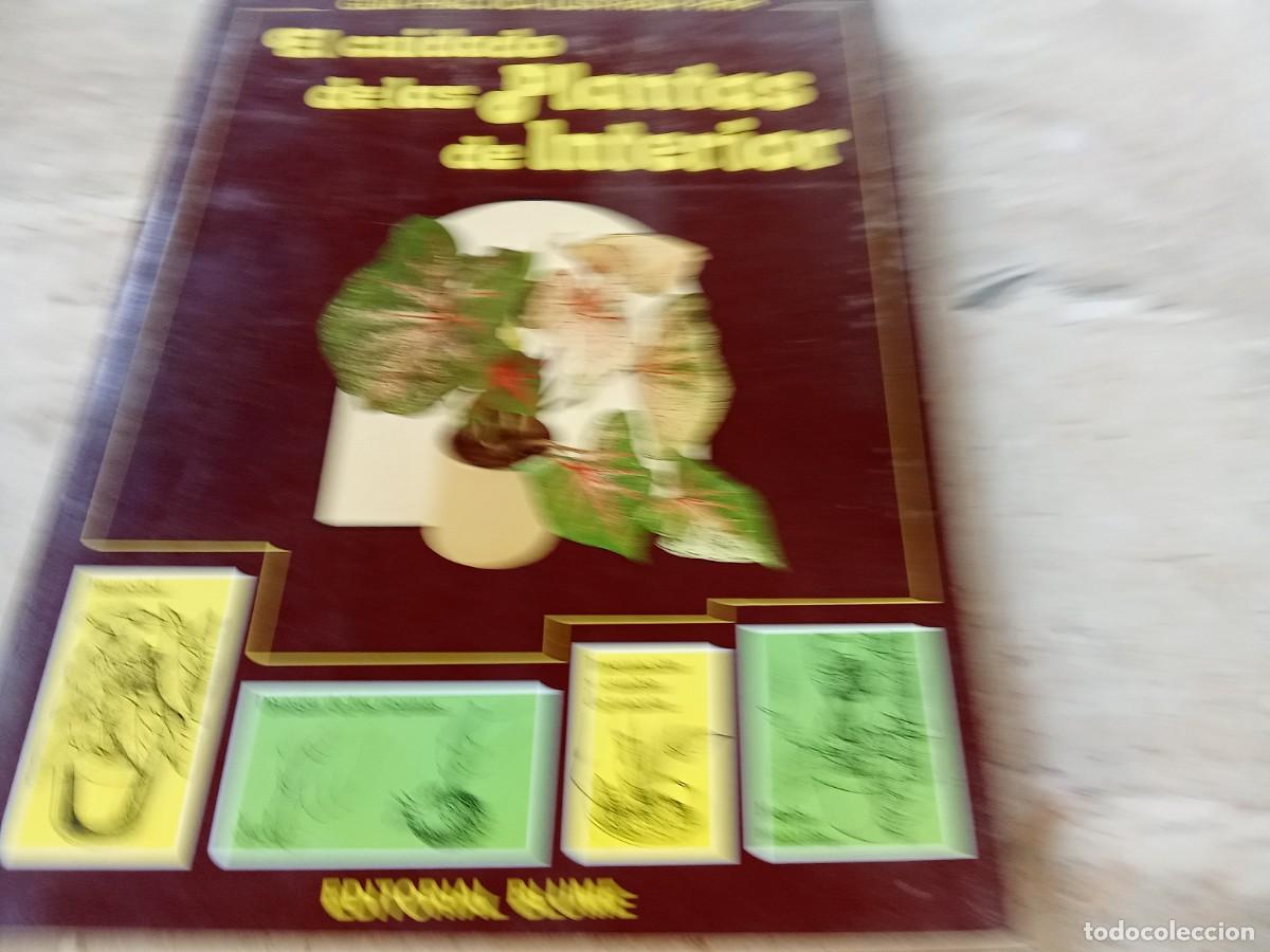 Libros de segunda mano: EL CUIDADO DE LAS PLANTAS DE INTERIOR / DAVID LONGMAN / CJA 370 / BLUME - Foto 2