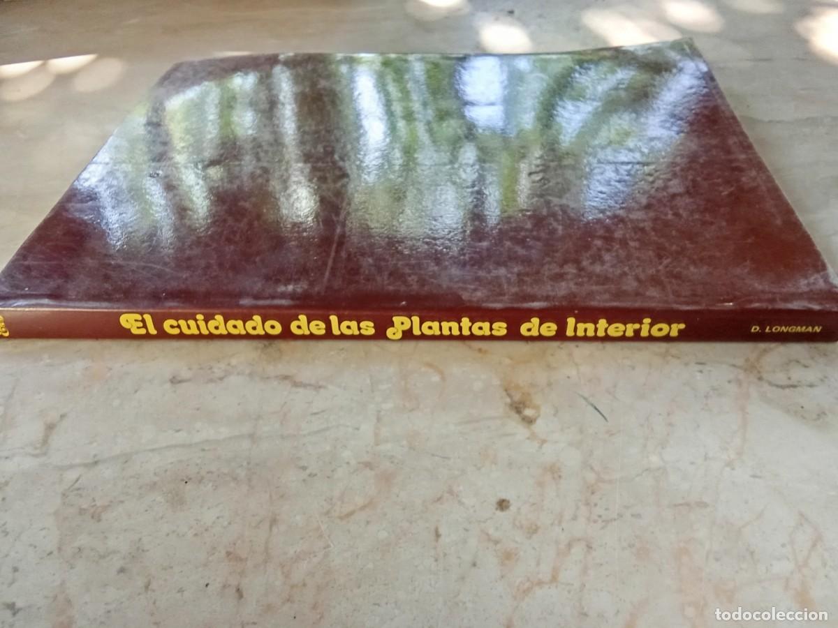 Libros de segunda mano: EL CUIDADO DE LAS PLANTAS DE INTERIOR / DAVID LONGMAN / CJA 370 / BLUME - Foto 3