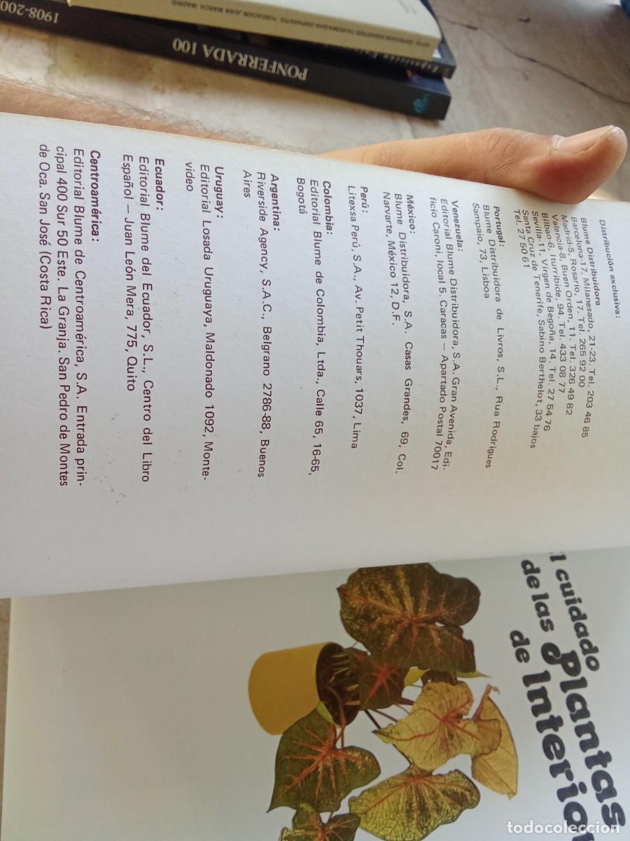 Libros de segunda mano: EL CUIDADO DE LAS PLANTAS DE INTERIOR / DAVID LONGMAN / CJA 370 / BLUME - Foto 4