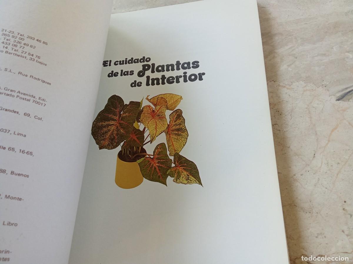 Libros de segunda mano: EL CUIDADO DE LAS PLANTAS DE INTERIOR / DAVID LONGMAN / CJA 370 / BLUME - Foto 5