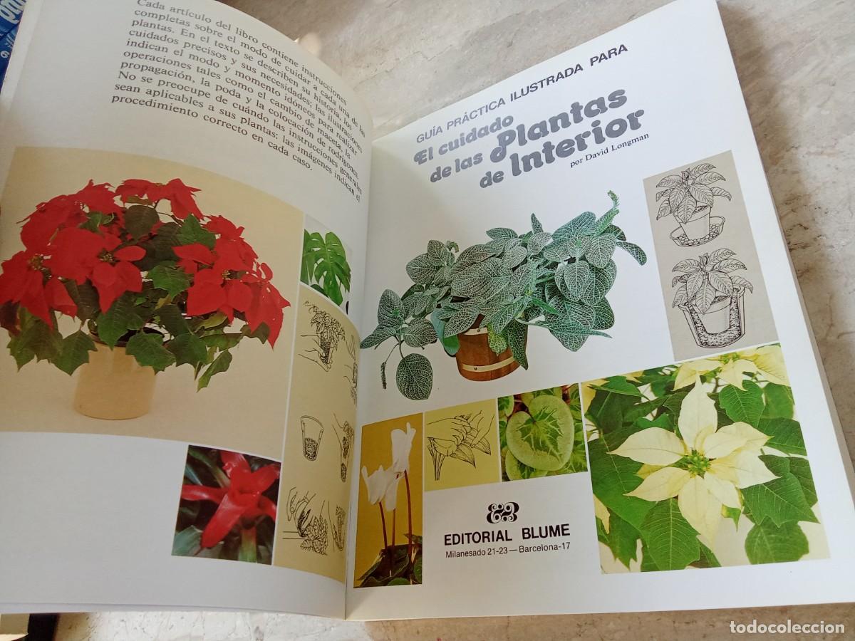 Libros de segunda mano: EL CUIDADO DE LAS PLANTAS DE INTERIOR / DAVID LONGMAN / CJA 370 / BLUME - Foto 6