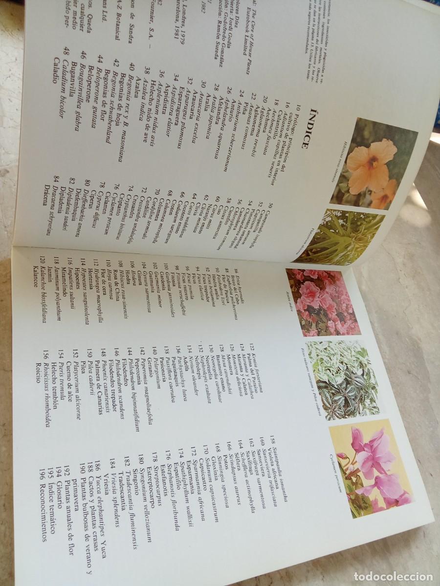 Libros de segunda mano: EL CUIDADO DE LAS PLANTAS DE INTERIOR / DAVID LONGMAN / CJA 370 / BLUME - Foto 8