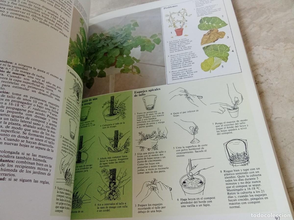 Libros de segunda mano: EL CUIDADO DE LAS PLANTAS DE INTERIOR / DAVID LONGMAN / CJA 370 / BLUME - Foto 11