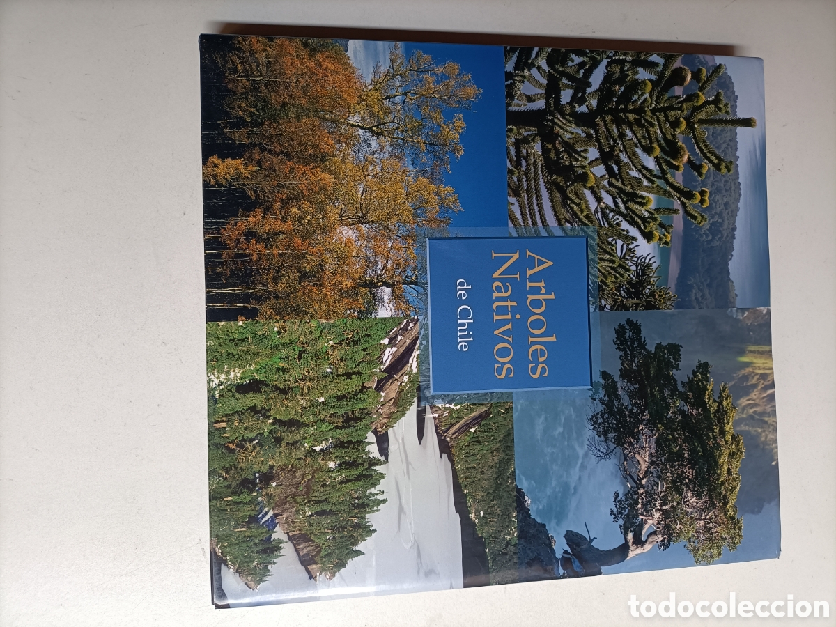 Libros de segunda mano: &Aacute;rboles nativos de Chile - Foto 2