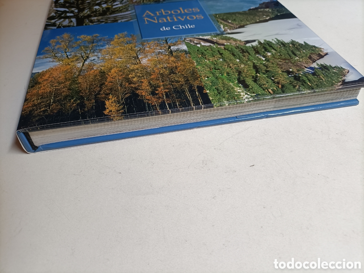Libros de segunda mano: &Aacute;rboles nativos de Chile - Foto 3