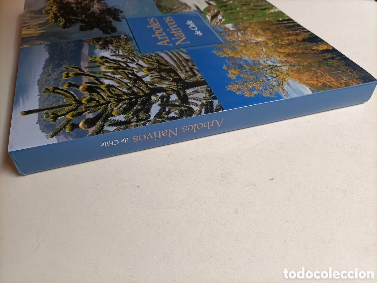 Libros de segunda mano: &Aacute;rboles nativos de Chile - Foto 4