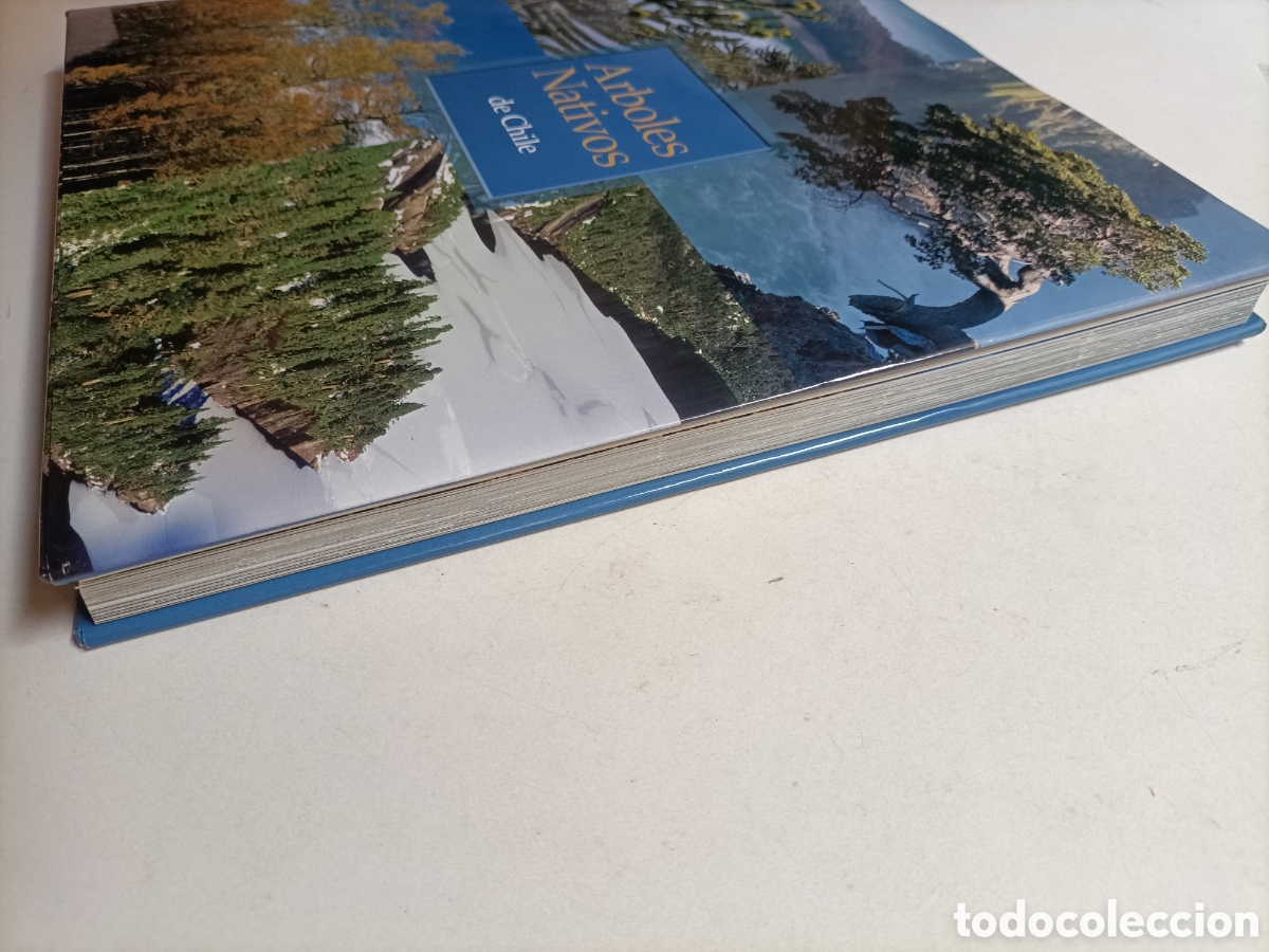 Libros de segunda mano: &Aacute;rboles nativos de Chile - Foto 6