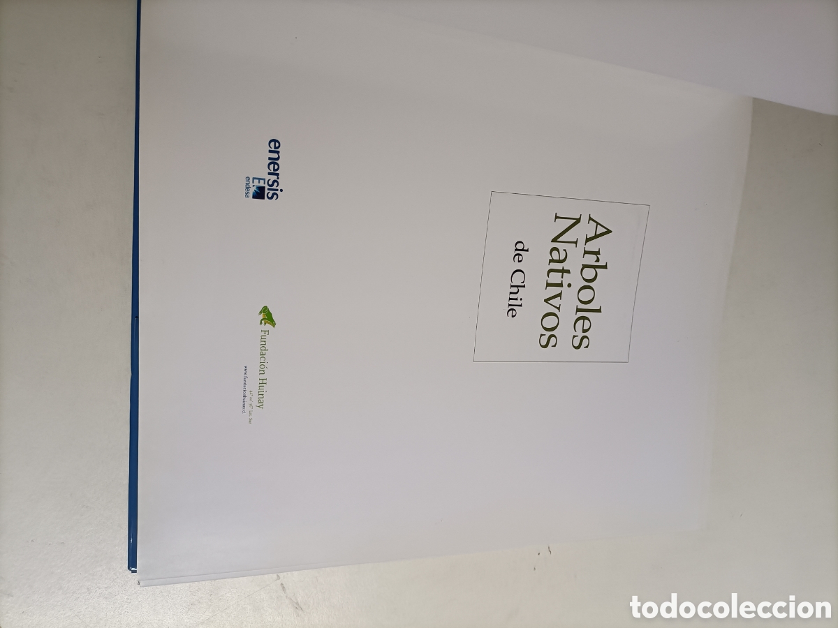 Libros de segunda mano: &Aacute;rboles nativos de Chile - Foto 7