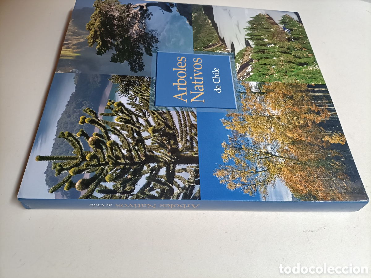 Libros de segunda mano: &Aacute;rboles nativos de Chile - Foto 1
