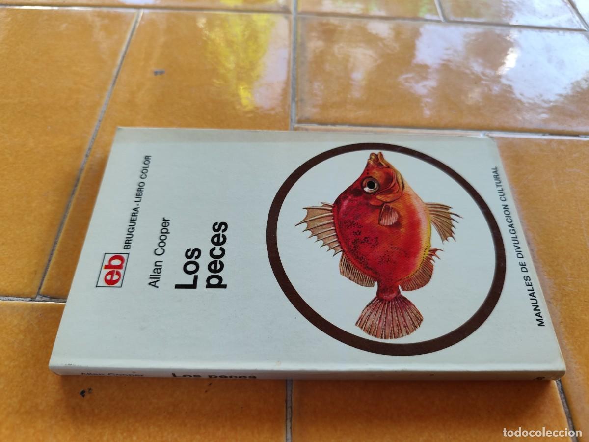 Libros de segunda mano: LOS PECES / ALLAN COOPER / CJA 371 / BRUGUERA - Foto 1