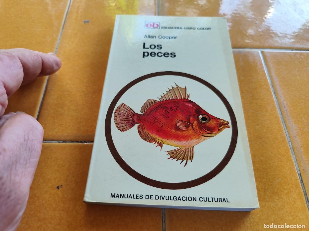 Libros de segunda mano: LOS PECES / ALLAN COOPER / CJA 371 / BRUGUERA - Foto 2