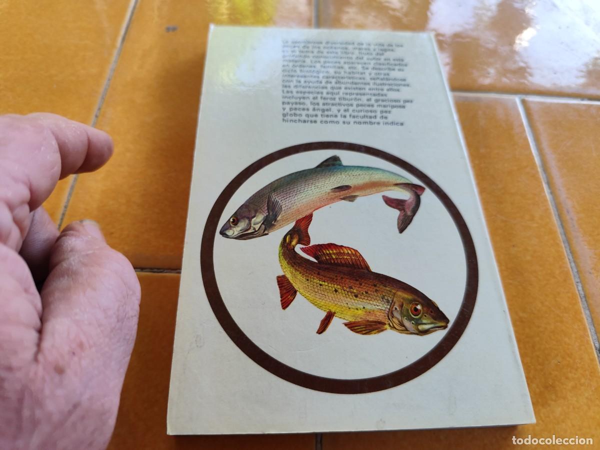 Libros de segunda mano: LOS PECES / ALLAN COOPER / CJA 371 / BRUGUERA - Foto 3